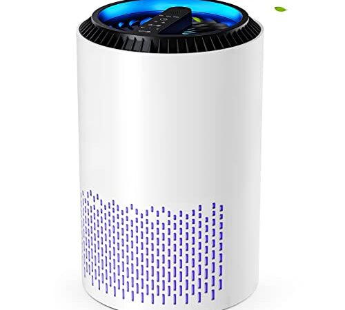 CONOPU Purificatore D'aria, Air Purifier Portable HEPA H13 Filtro, Purificatore Aria Portatile Elimina Odori, Modalità di Sonno&Auto, Timer, per Camera Da Letto, Bagno, Soggiorno, Seminterrato