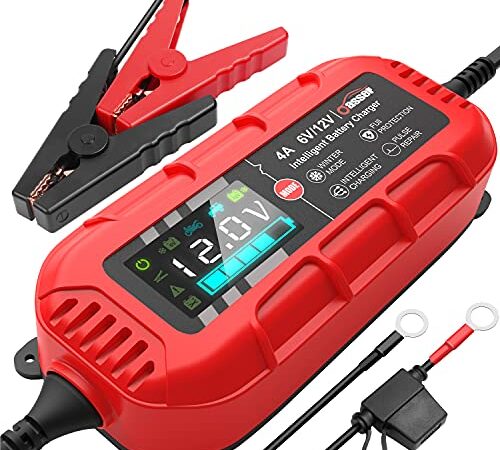 Oasser caricabatterie automatico professionale inteligente portatile 6V e 12V 4A red