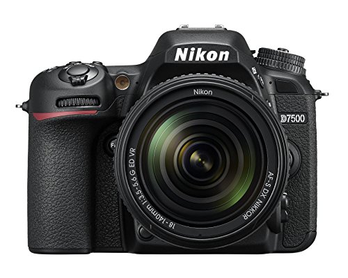 30 Miglior nikon d5600 nel 2024 [basato su 50 recensioni di esperti]