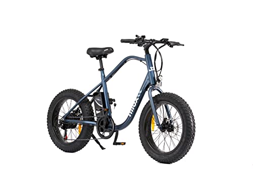 Nilox, E-Bike J3 Plus, Bici Elettrica con Pedalata Assistita, Autonomia 70 km, Fino a 25 km/h, Brushless High Speed 250 W, Batteria al Litio 36 V 12.8 Ah, Ruote 20” Fat, Cambio 7 Marce, Freni a Disco